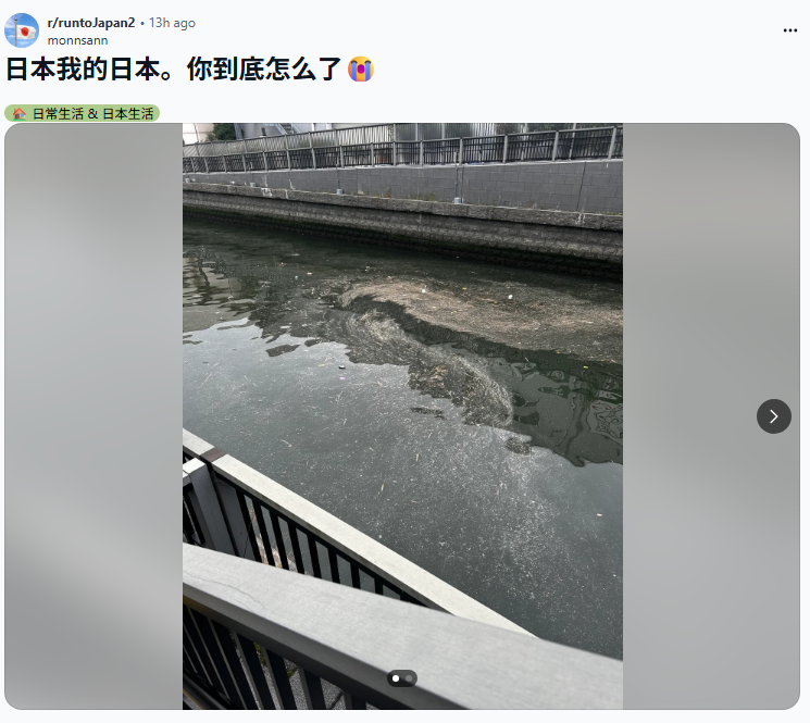 日本の現状を嘆くRedditのスレッド画像 汚れた川の写真